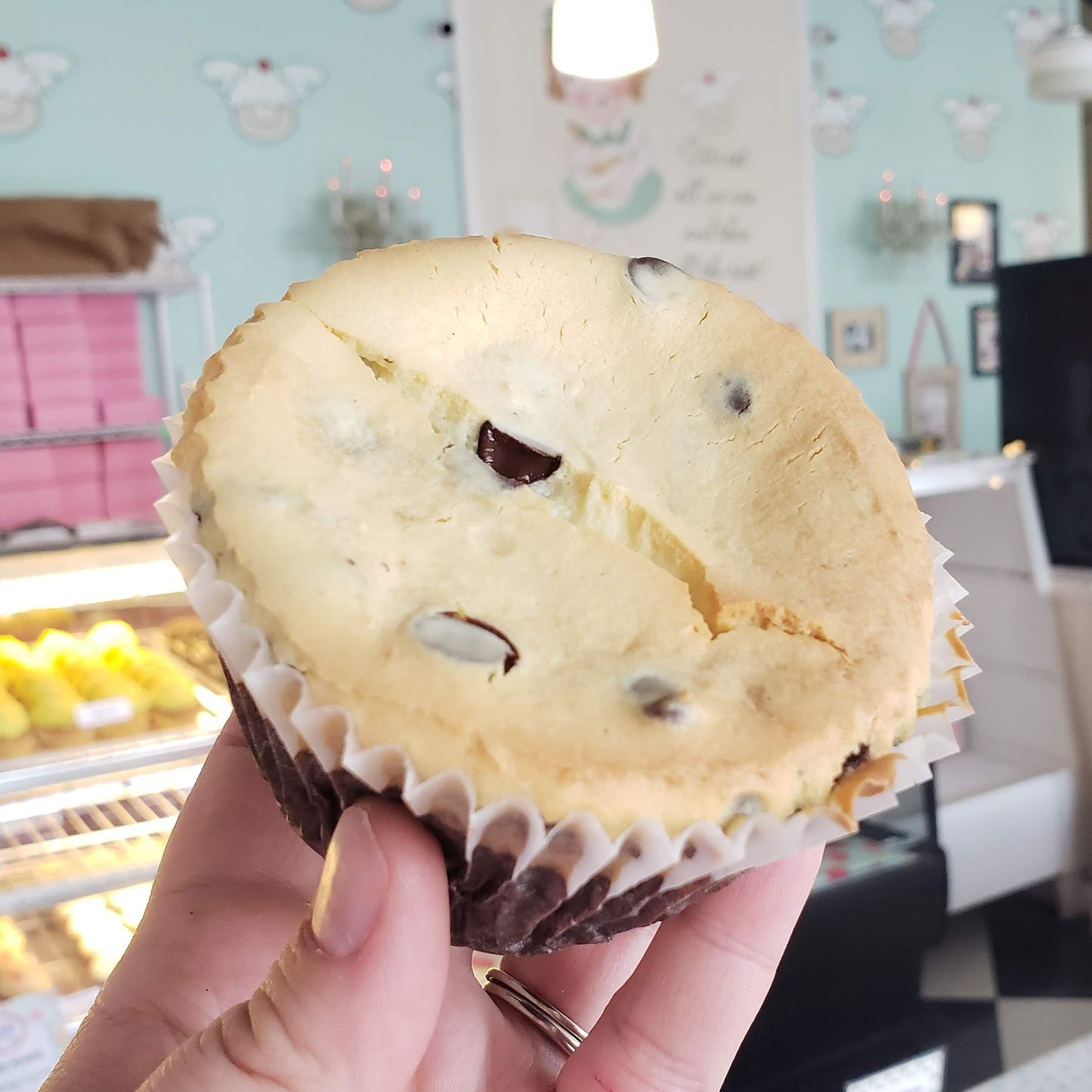 Jumbo Fancy Pants Cupcakes SIX PACK