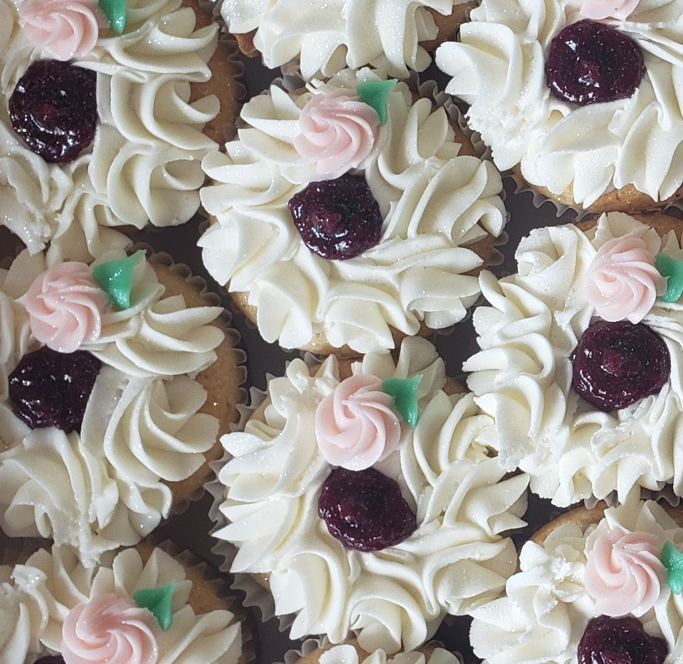 Jumbo Fancy Pants Cupcakes SIX PACK