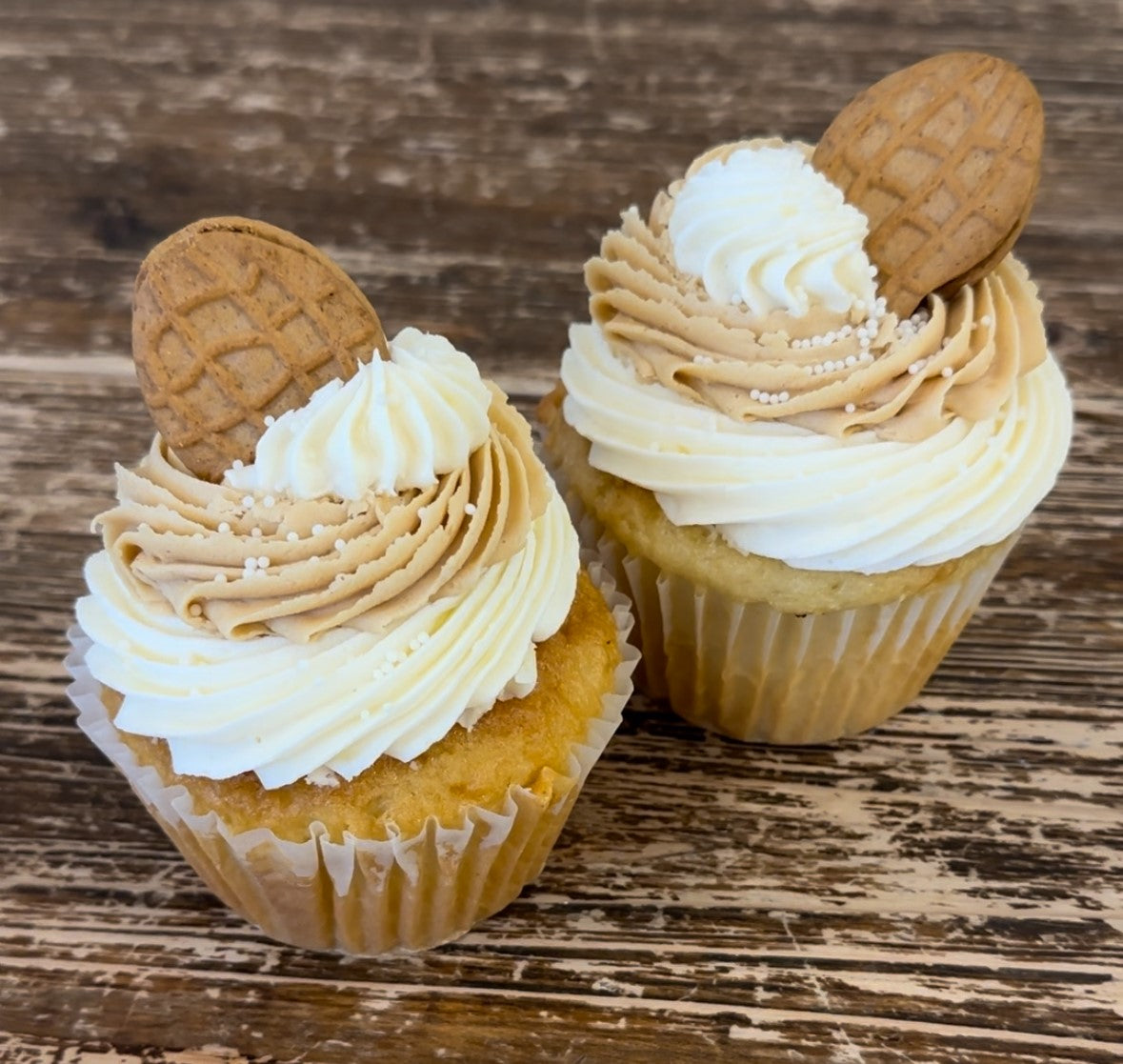 Jumbo Fancy Pants Cupcakes SIX PACK
