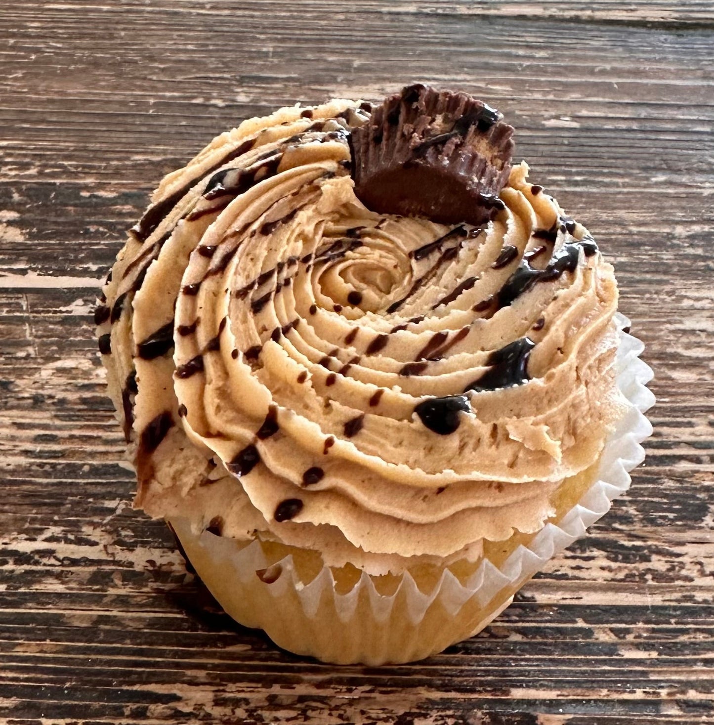 Jumbo Cupcakes TWO PACK (November)