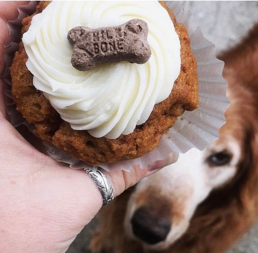 🐶PUPcake Box of TWO for Doggies!