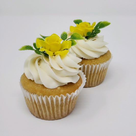 π Vegan Dairy-Free Cupcake TWO PACK (June)