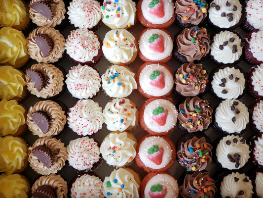 MINI Size Cupcakes! (April)