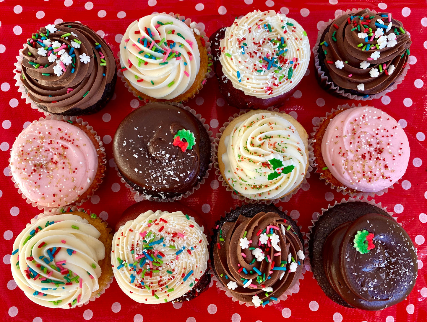 🎄Holiday Party Time Jumbo Cupcake Dozen!