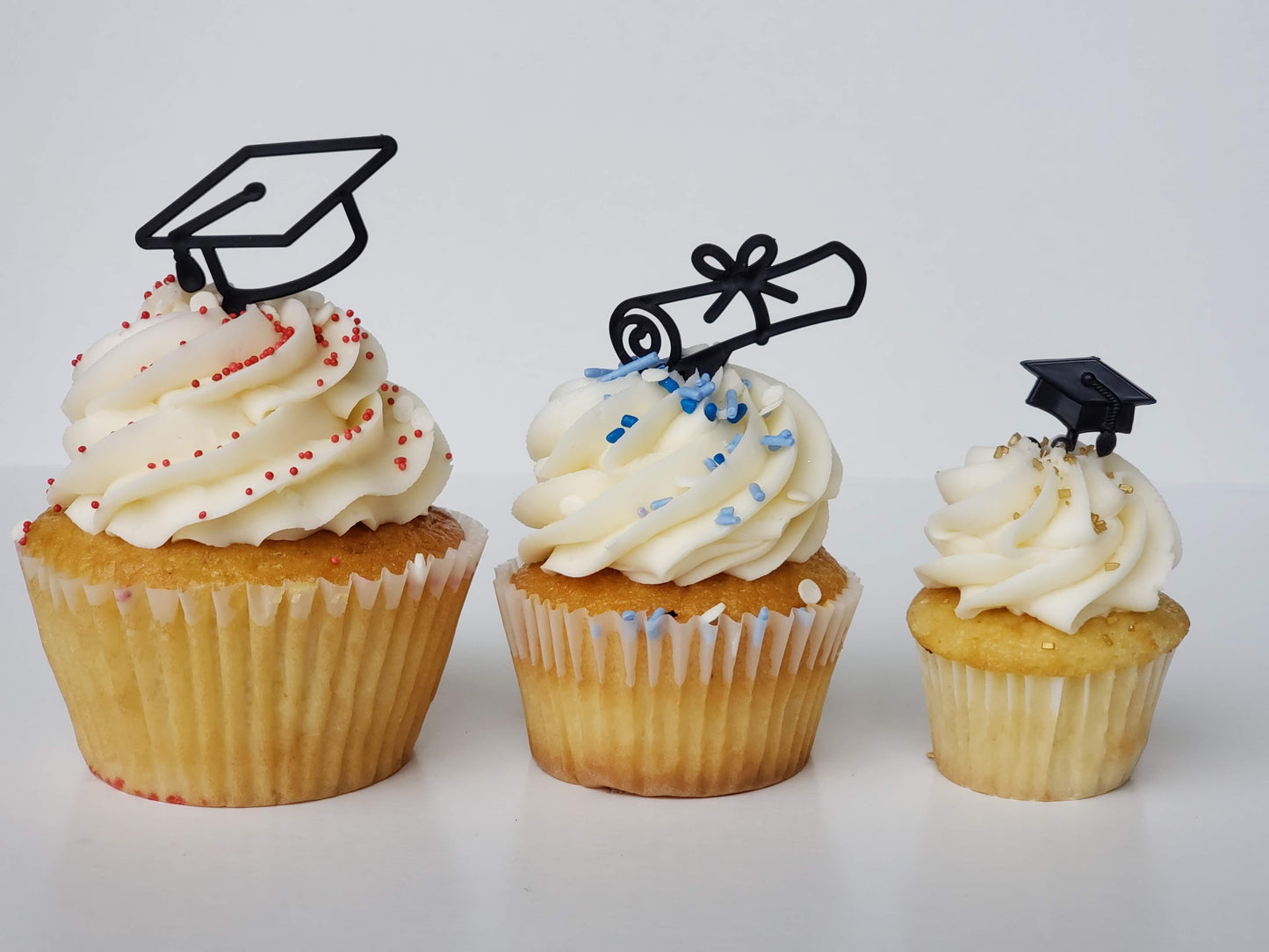 🎓Graduation Time Dozen JUMBO Cupcakes Party Pack