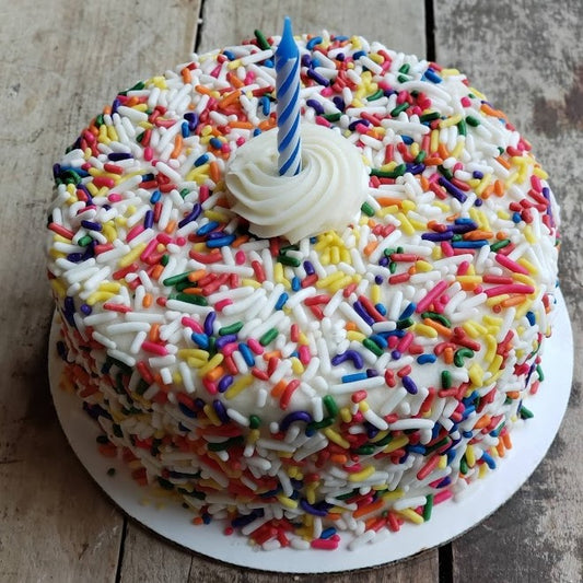 Birthday Confetti Lunchbox Cake for Two
